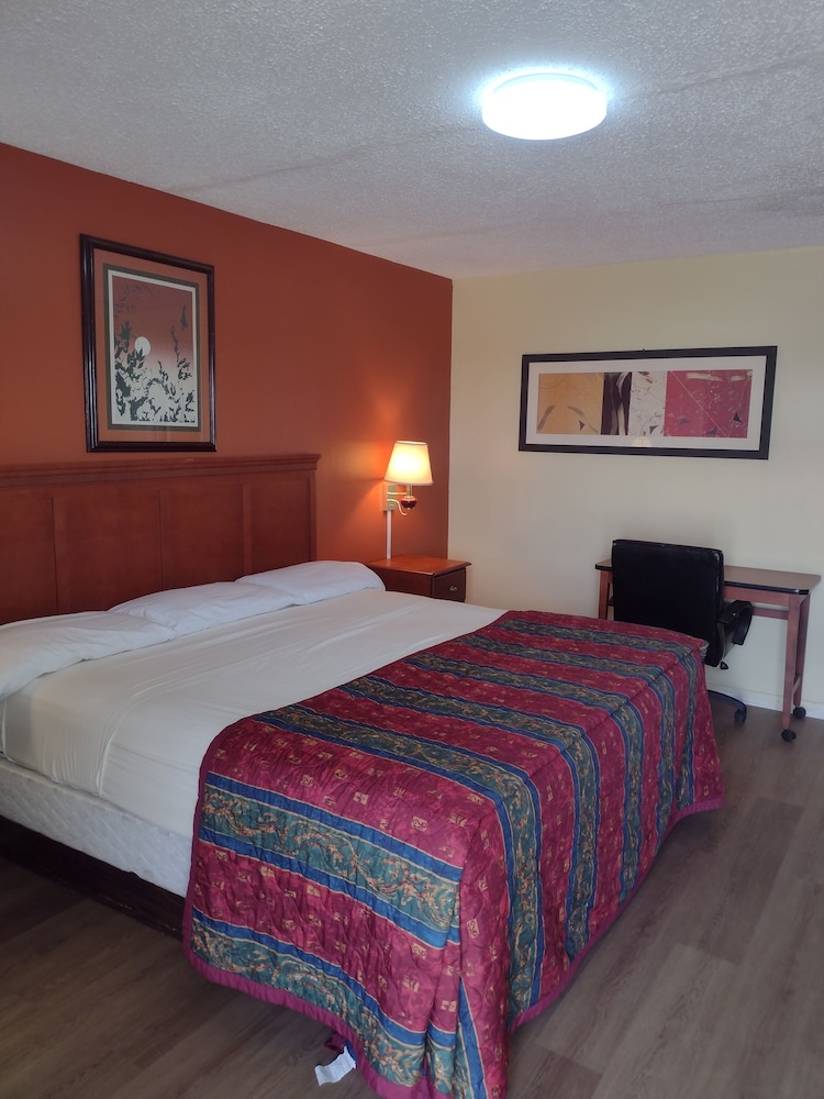Single Room photo 1