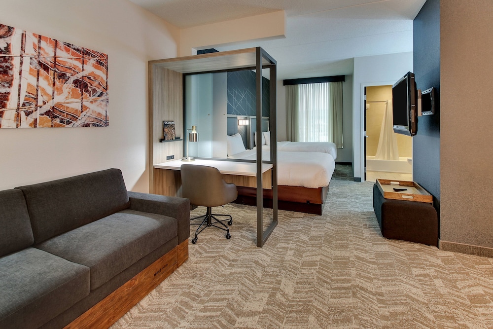 Studio, Multiple Beds - Photo 1