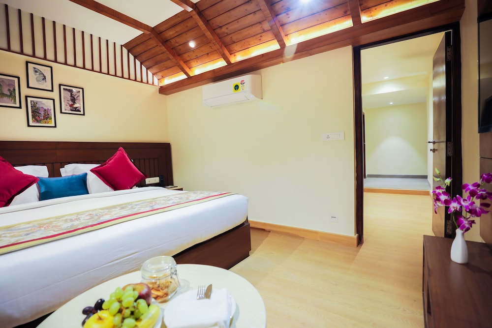 Suite - Photo 2