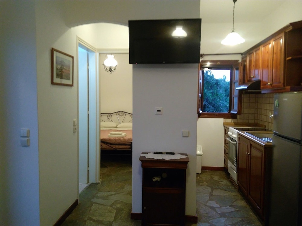 Apartment, 1 Bedroom photo 2