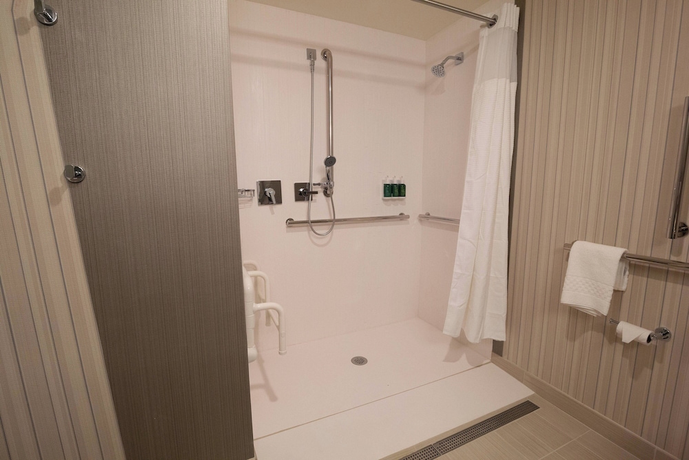 Room, 1 King Bed with Sofa bed (Mobility/Hearing Access, Roll-In Shwr) - Photo 3