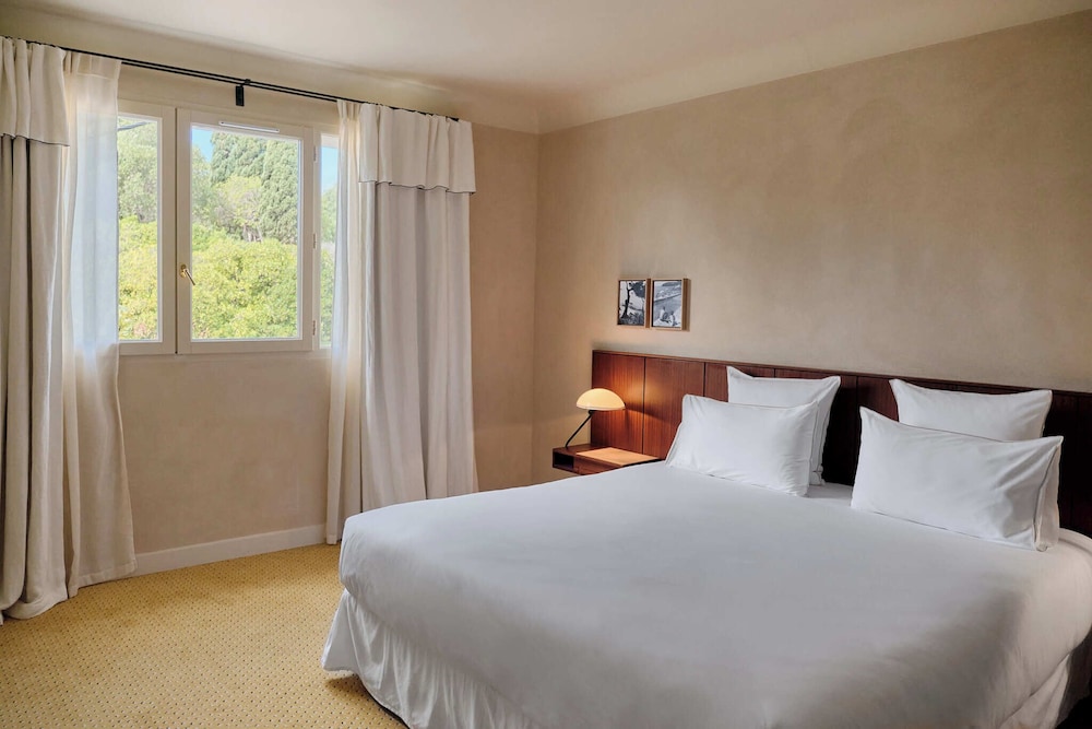Comfort Room photo 1