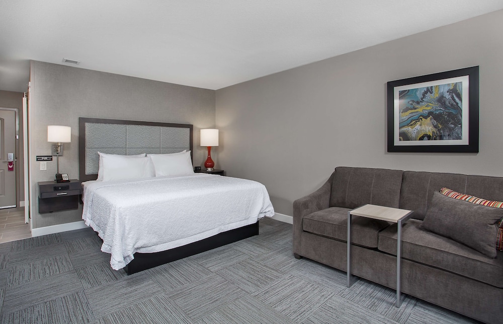 Room, 1 King Bed with Sofa bed, Accessible, Bathtub photo 3