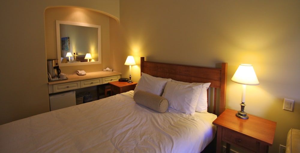 Deluxe Room photo 3