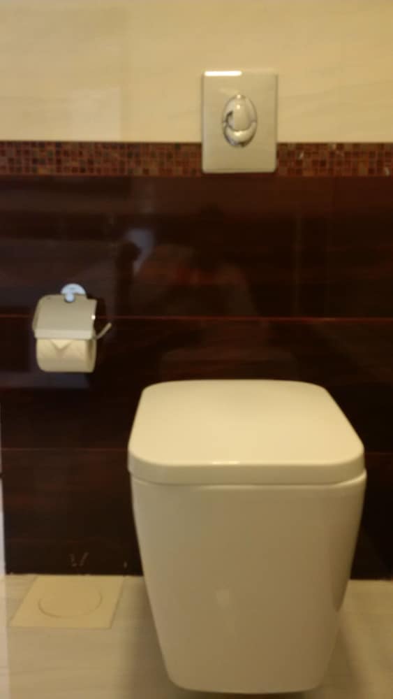 Executive Suite (Single ) photo 3