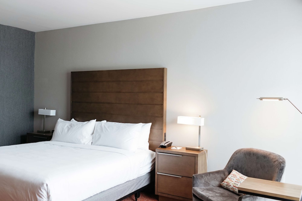 Studio Suite, 1 King Bed, Accessible (Roll-In Shower) - Photo 1