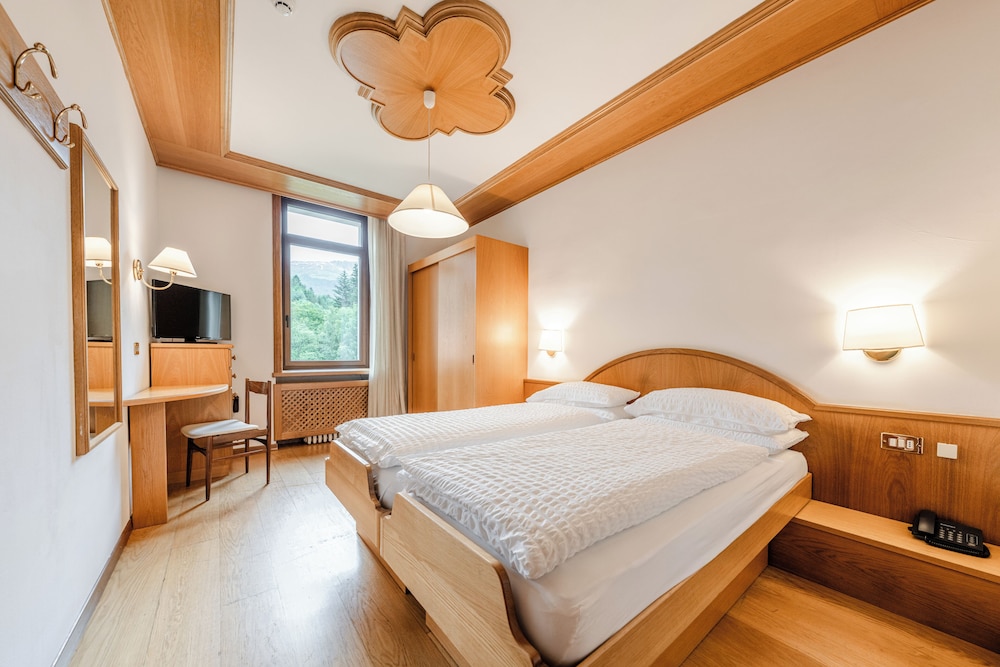 Economy Double or Twin Room, Mountain View