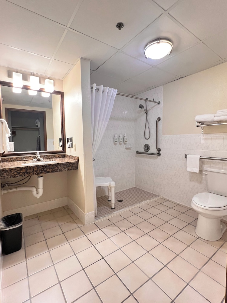 Studio Suite, 1 King Bed, Accessible, Non Smoking photo 3