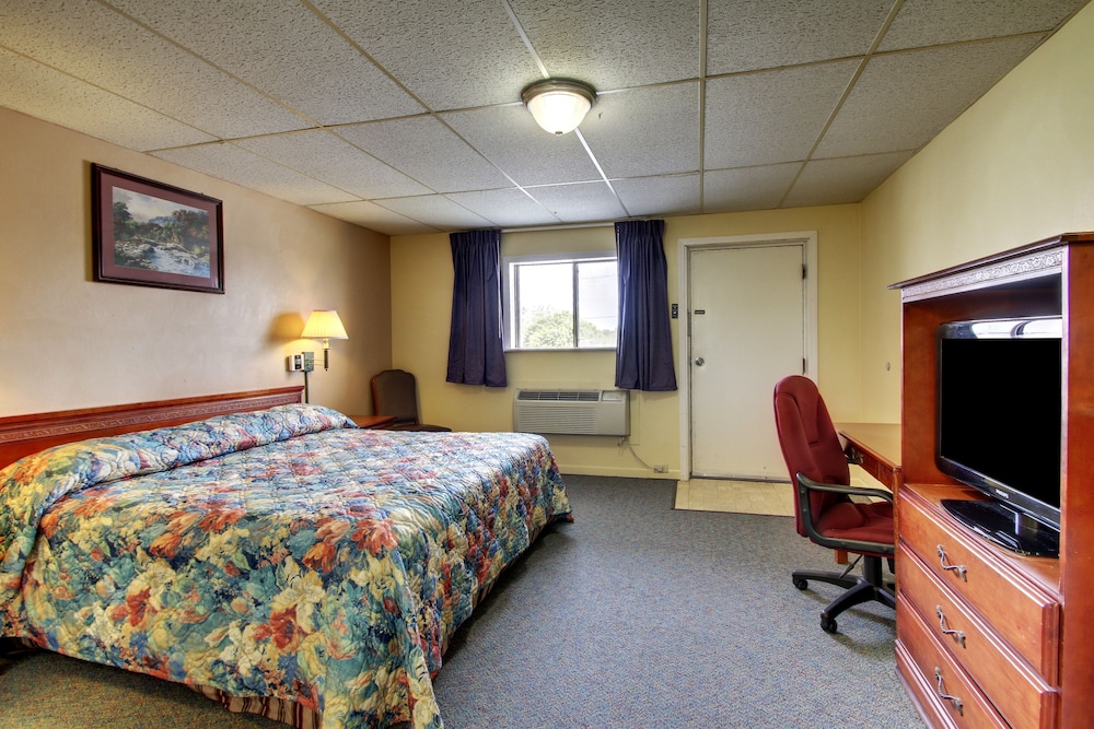 Room, 1 King Bed, Non Smoking photo 3