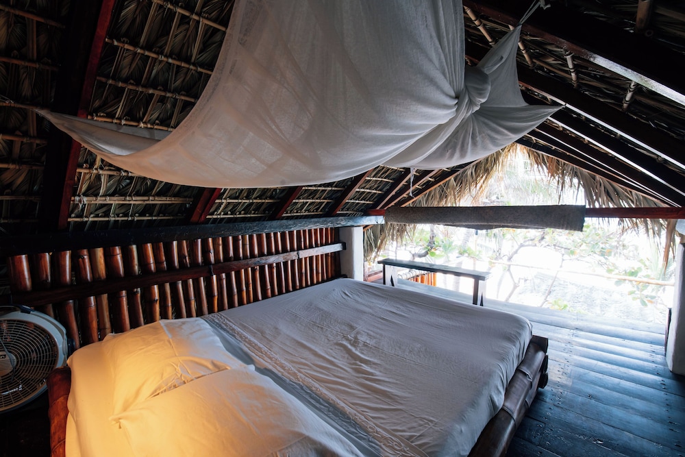 Palapa - Photo 14