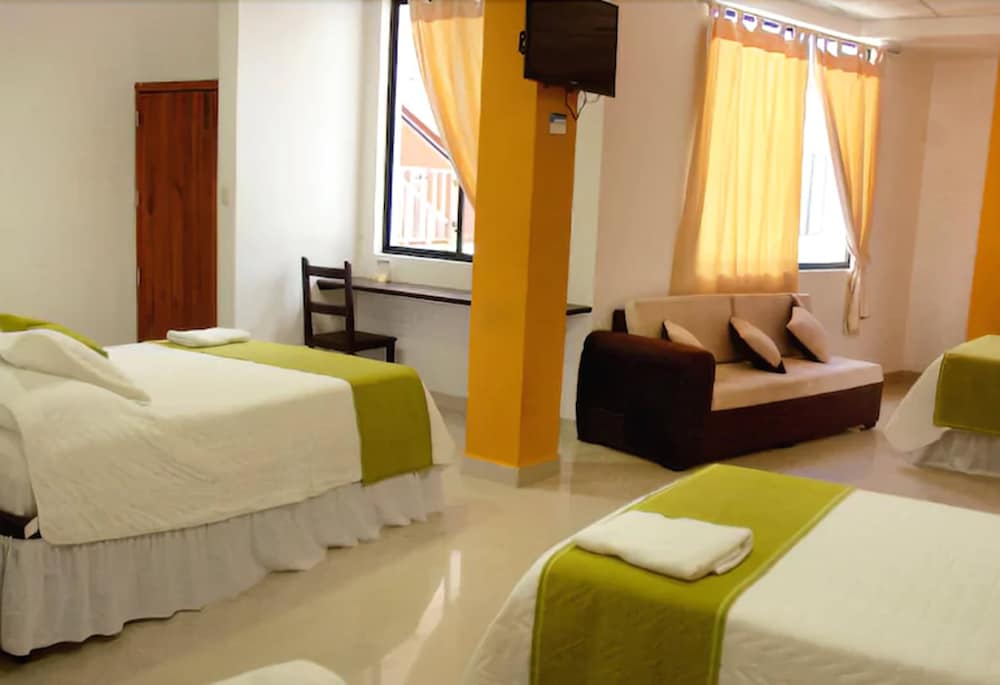 Triple Room photo 1