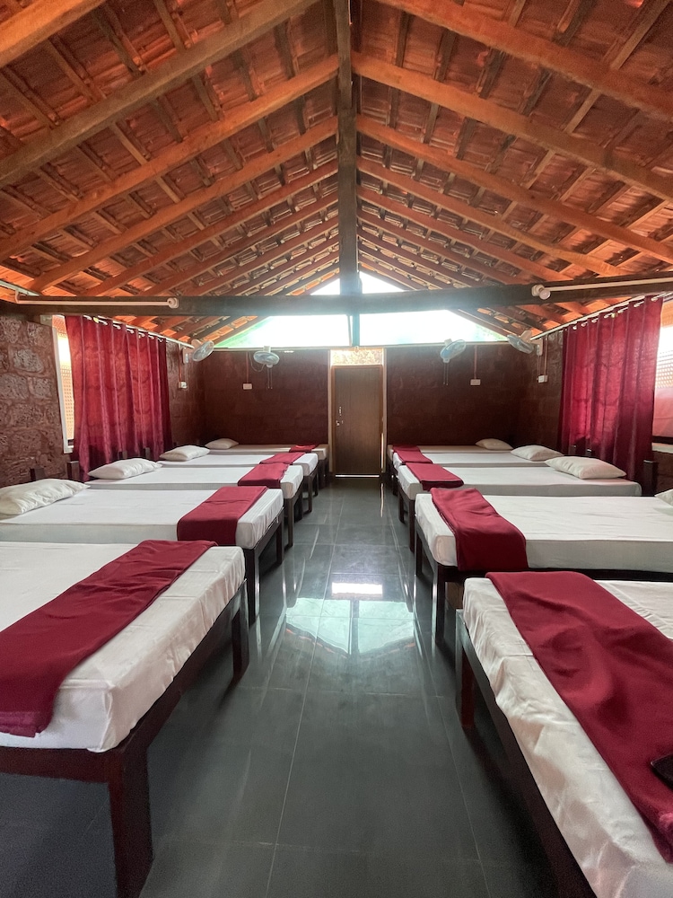 Comfort Shared Dormitory photo 1