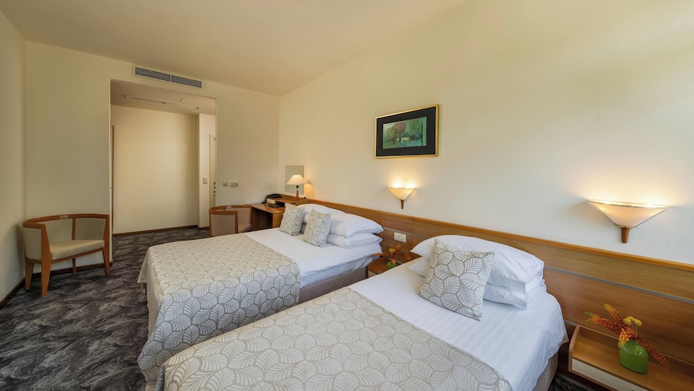 Superior Triple Room photo 2