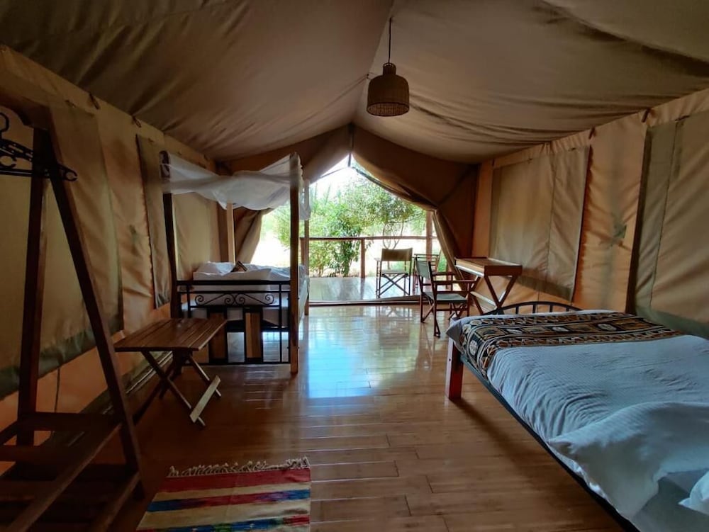 Twin Room photo 2