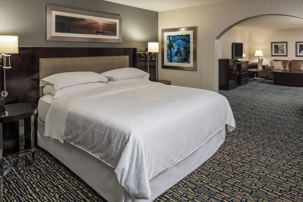 Room, 1 King Bed (Mobility/Hearing Access, Transf Shwr)