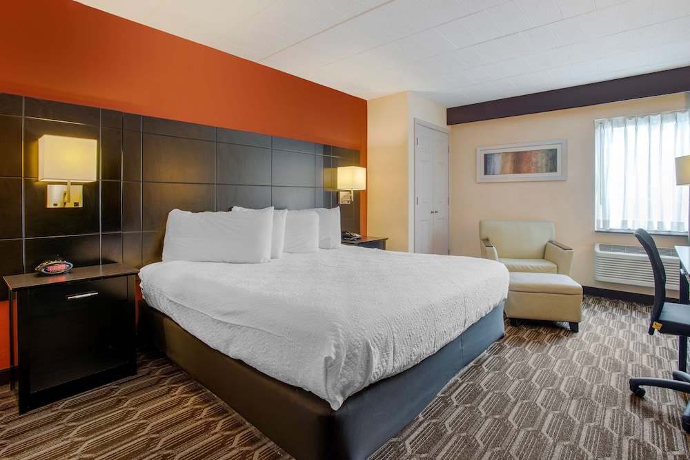 Standard Room, 1 King Bed, Non Smoking, Refrigerator & Microwave (Shower Only) - Photo 1