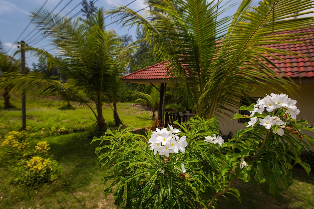 Budget Bungalow photo 3