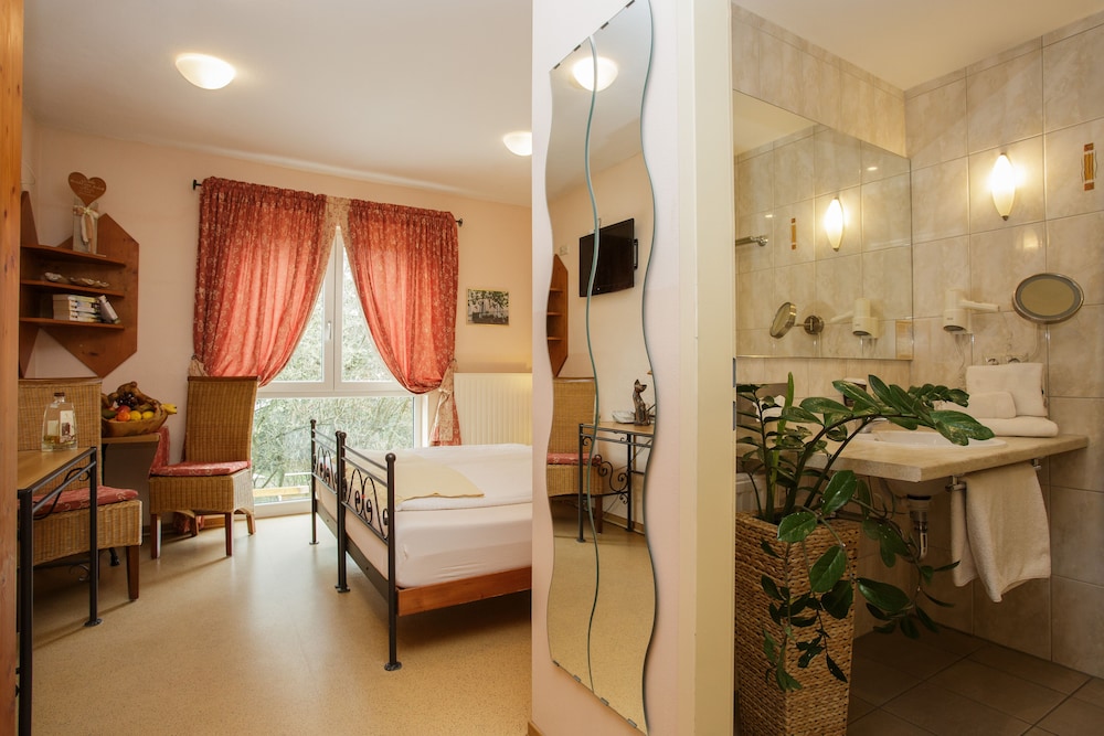 Business Single Room, 1 King Bed photo 1