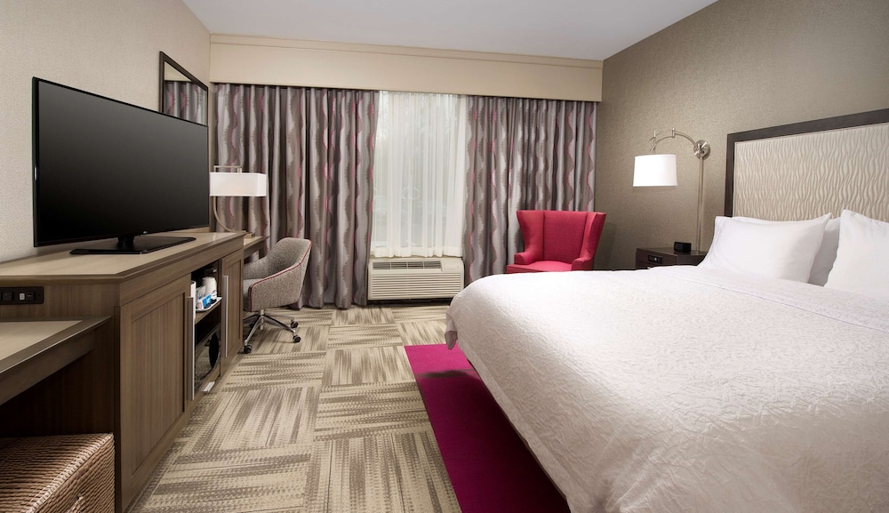 Room, 1 King Bed, Accessible, Bathtub (Mobility) photo 3