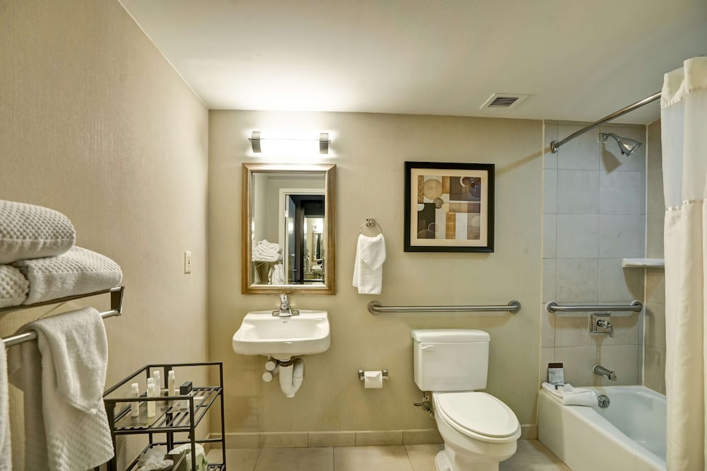 Room, 1 King Bed, Accessible, Executive Level (Bathtub, Non Smoking) - Photo 4