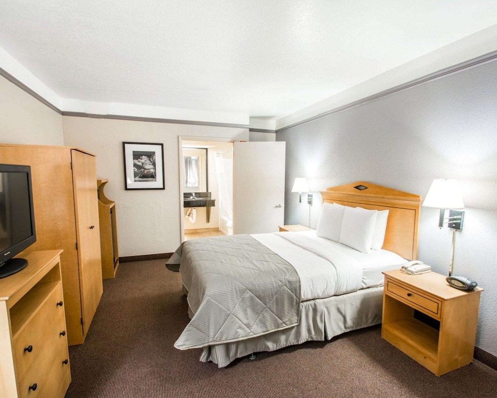 Suite, 1 King Bed with Sofa bed, Non Smoking photo 2