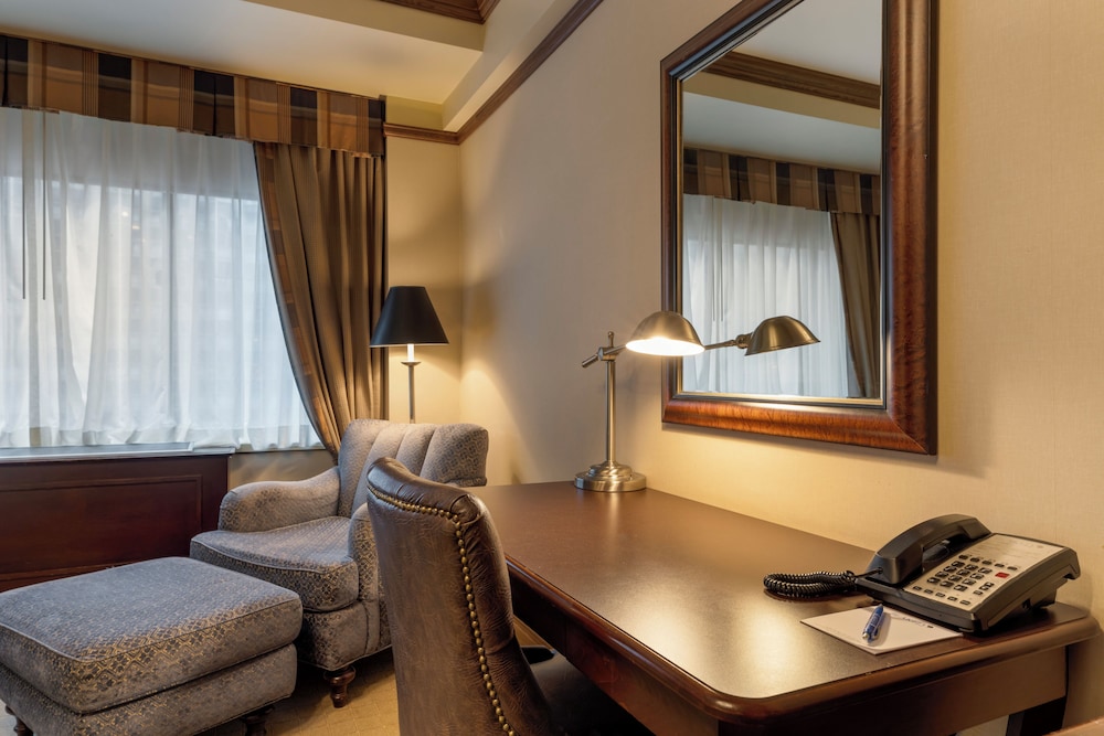Comfort Suite photo 3