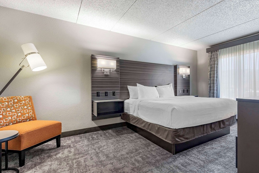Suite, 1 King Bed, Non Smoking - Photo 11