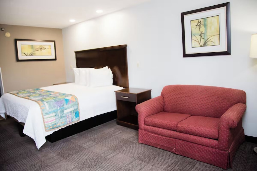Room, 1 King Bed with Sofa bed photo 2