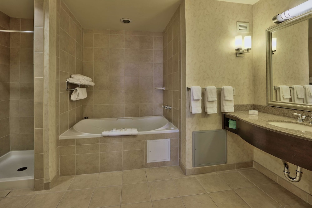 Suite, 1 King Bed, Accessible - Photo 5