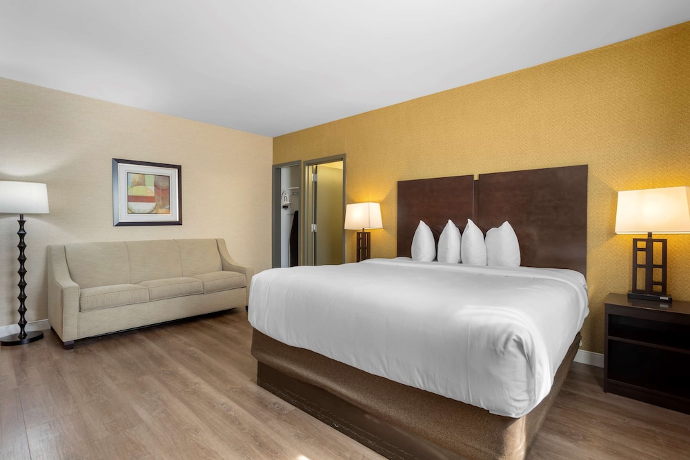 Suite, 1 King Bed with Sofa bed, Non Smoking, Refrigerator (with Sofabed)