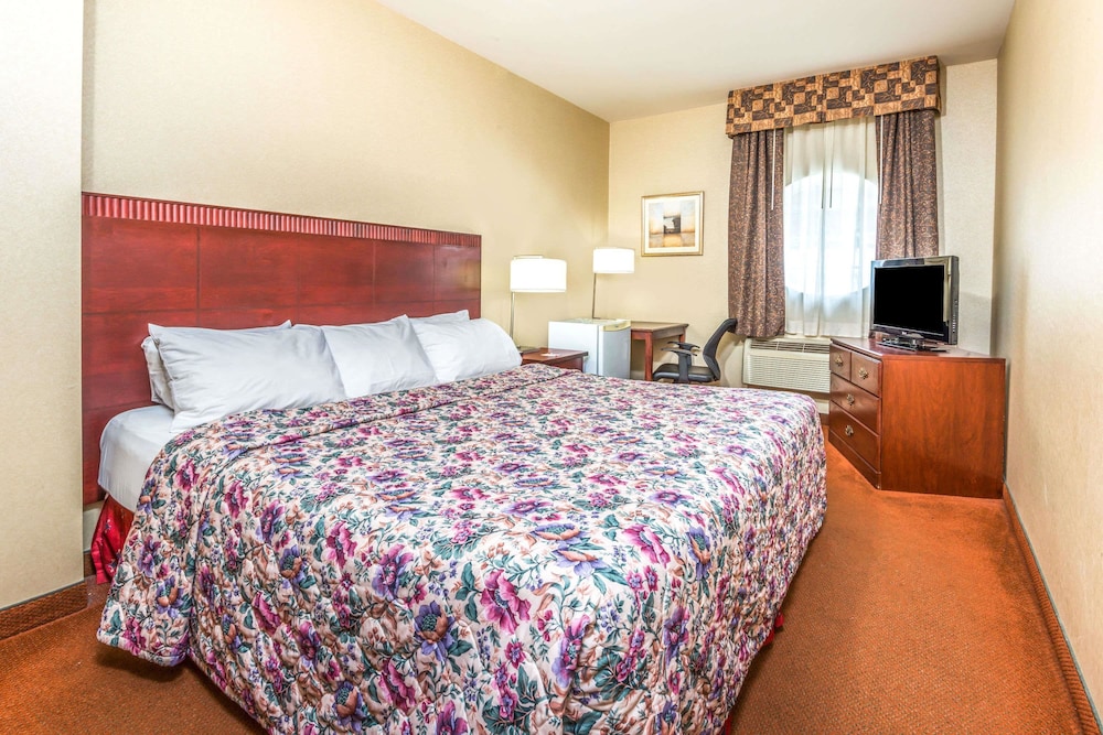Traditional Room, 1 King Bed, Non Smoking