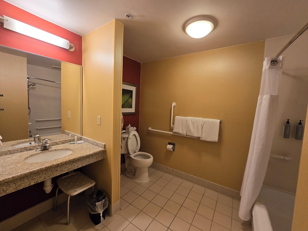 Suite, 1 King Bed, Accessible, Non Smoking - Photo 7