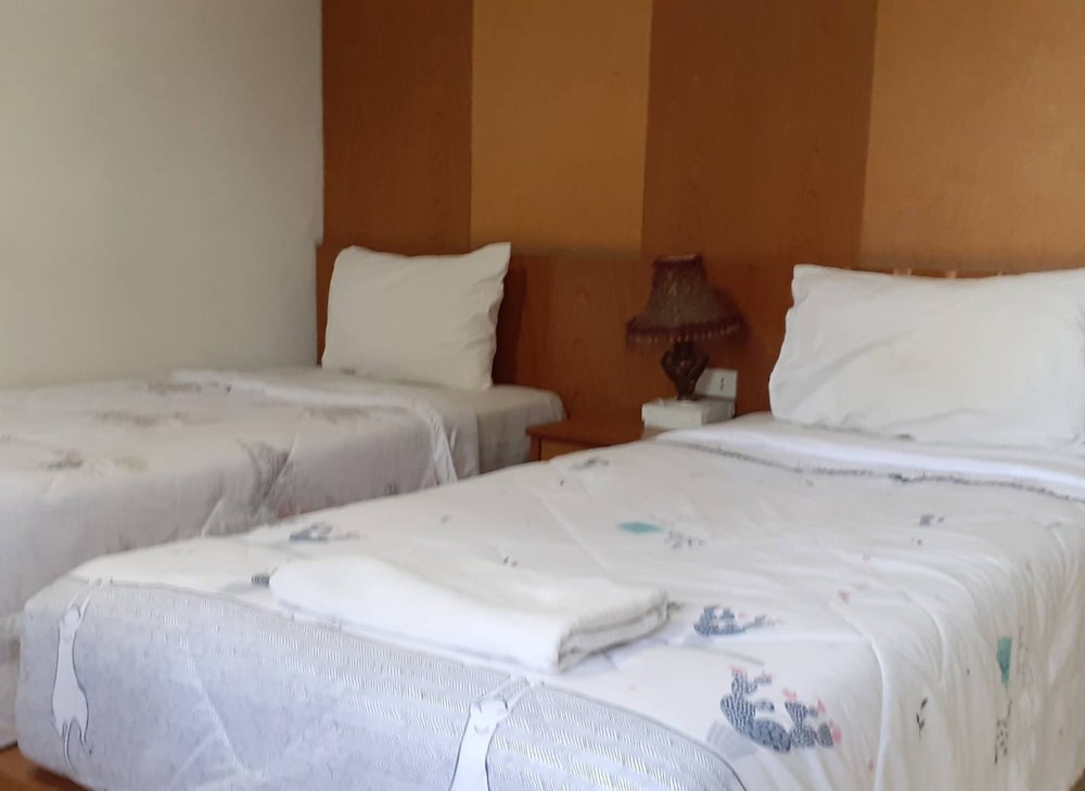 Deluxe Twin Room - Photo 9