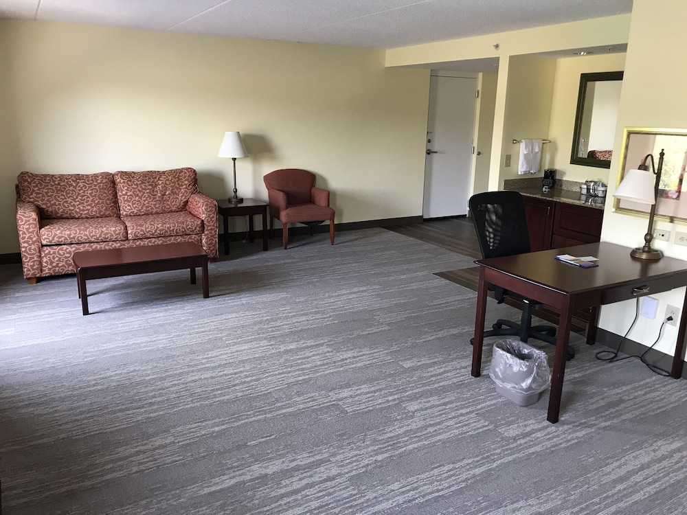 Room, 1 King Bed, Accessible, Non Smoking - Photo 8