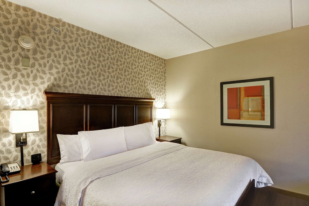 Room, 1 King Bed, Accessible - Photo 2