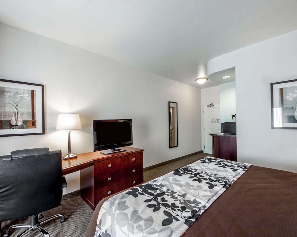 Suite, 1 King Bed with Sofa bed, Accessible, Non Smoking - Photo 1