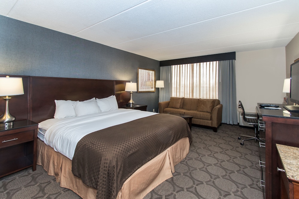 Room, 1 King Bed With Sofa Bed, Non Smoking