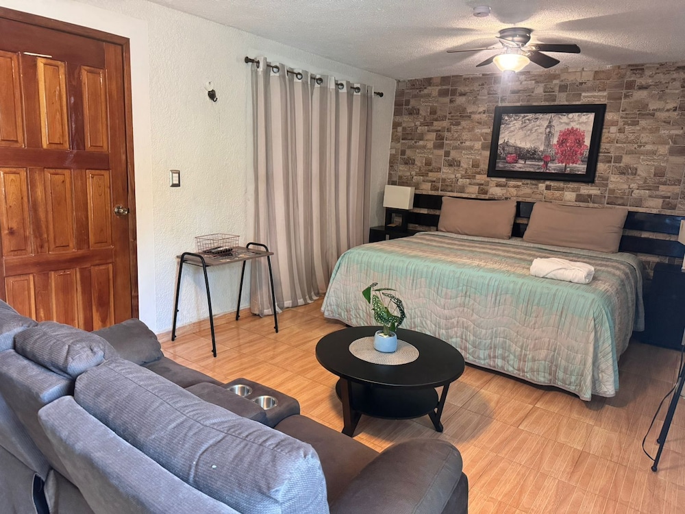 Standard Room, 1 King Bed, Non Smoking, Courtyard View photo 1
