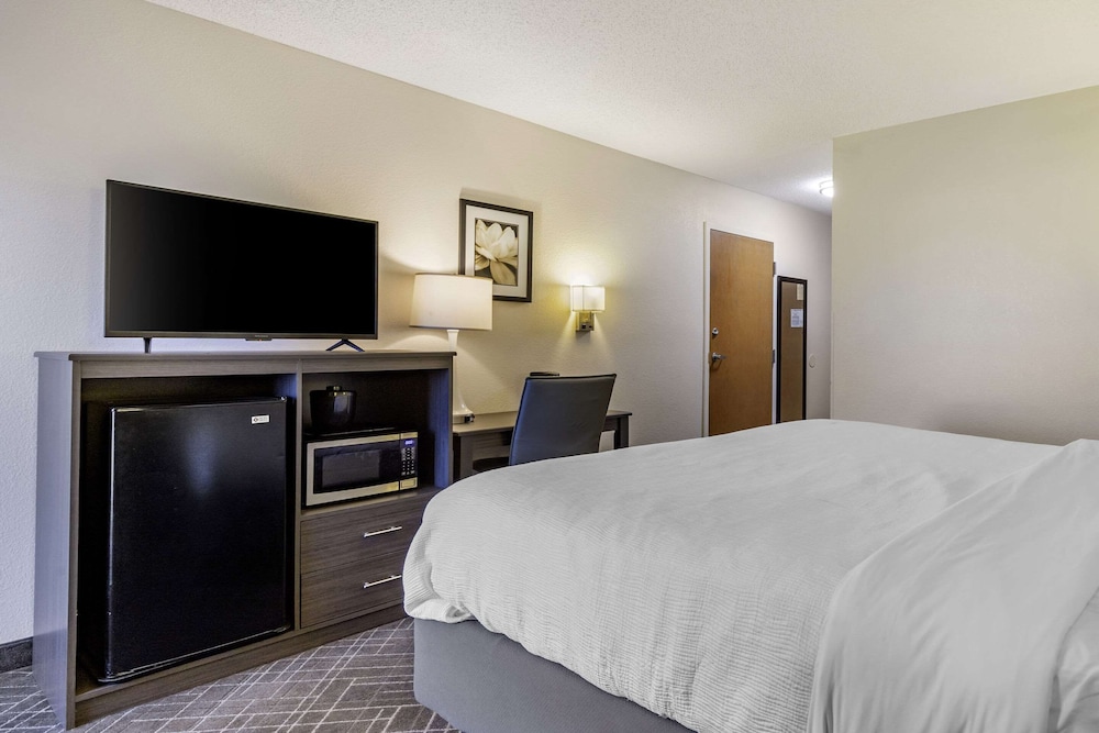 Room, 1 King Bed, Accessible, Non Smoking - Photo 5