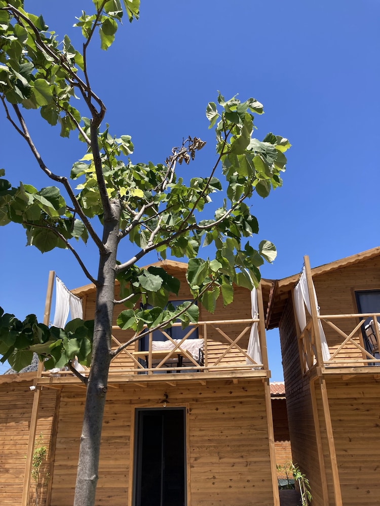 Luxury Tree House photo 3