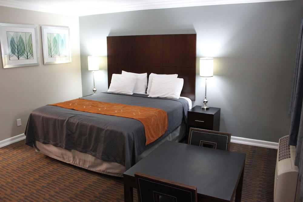 Basic Double Room photo 2