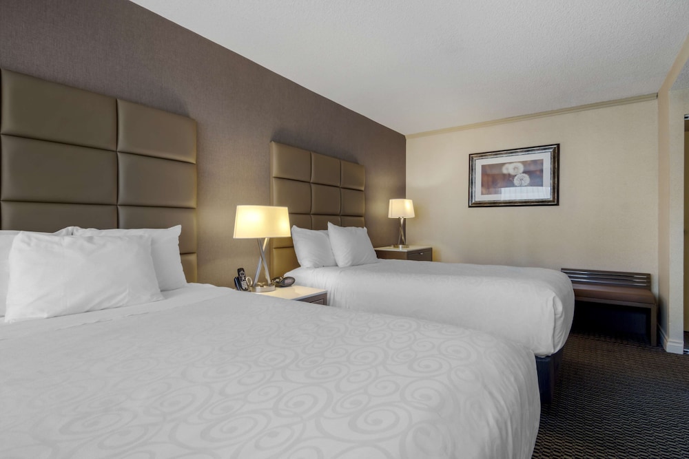 Suite, 2 Double Beds, Mobility Accessible, Refrigerator & Microwave (with Sofabed)