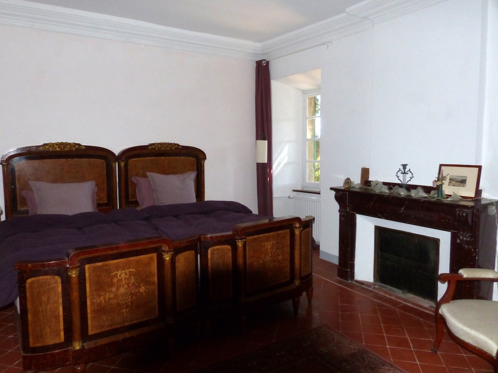 Double or Twin Room (Brettes-Thurin) photo 1