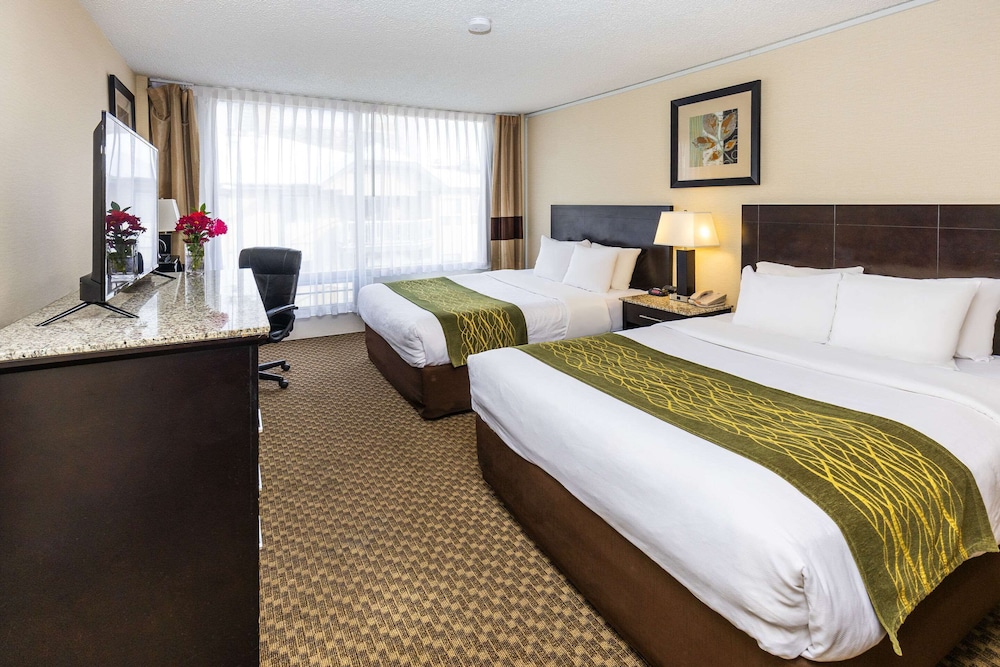 Standard Room, 2 Queen Beds, Non Smoking - Photo 4