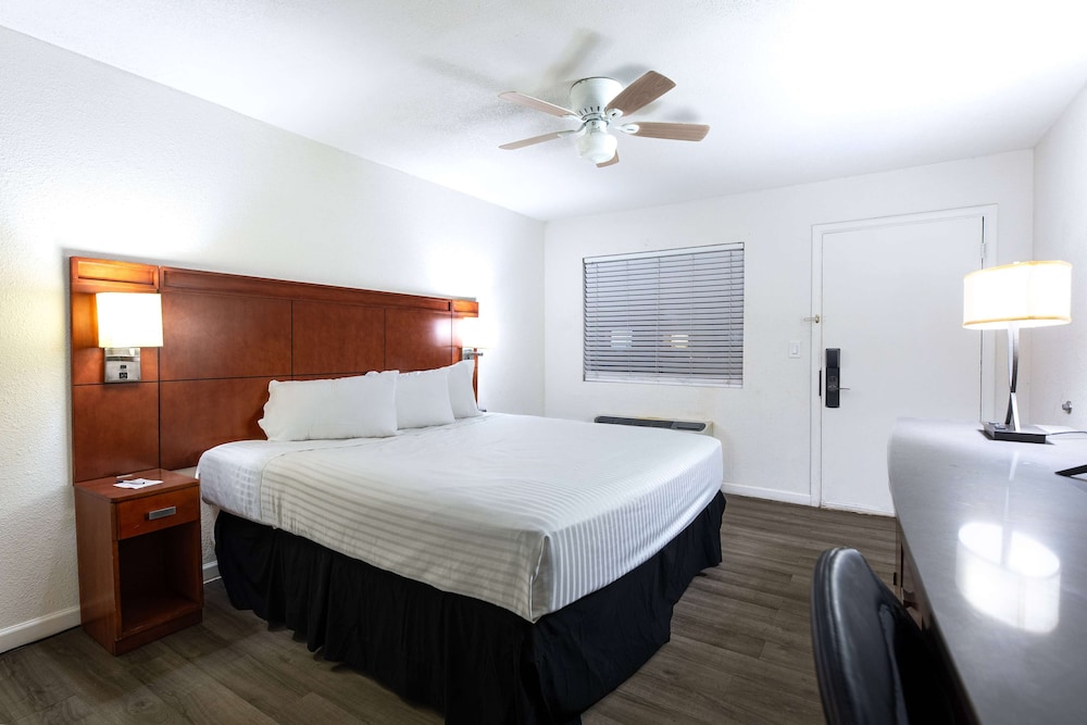 Room, 1 King Bed, Non Smoking - Photo 4