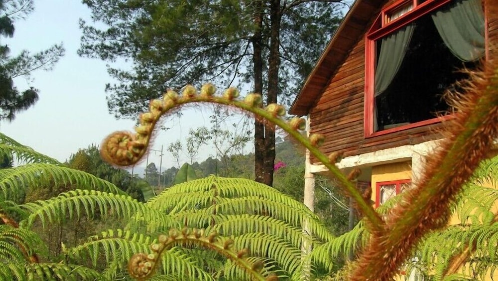 Cabin photo 3