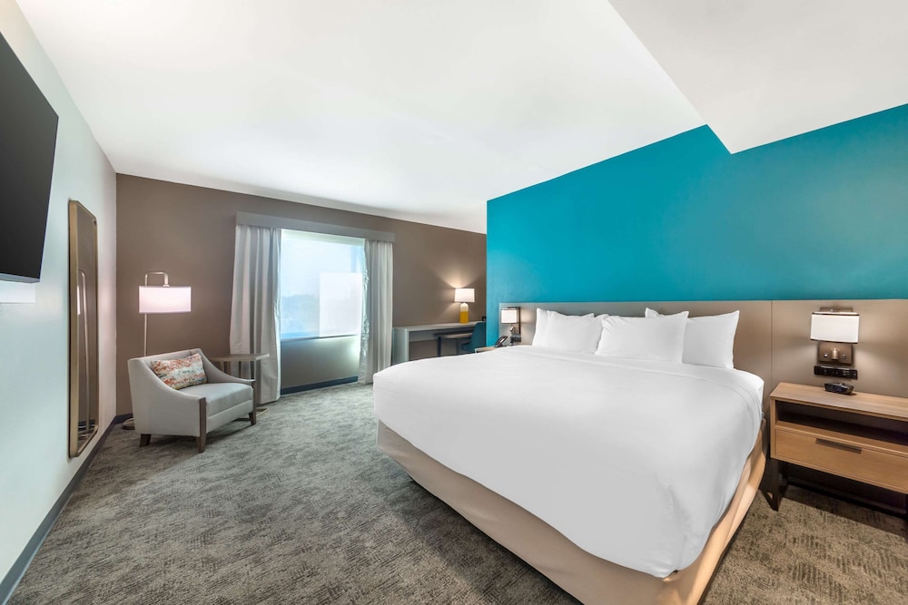 Suite, 1 King Bed with Sofa bed, Non Smoking (Upgrade)