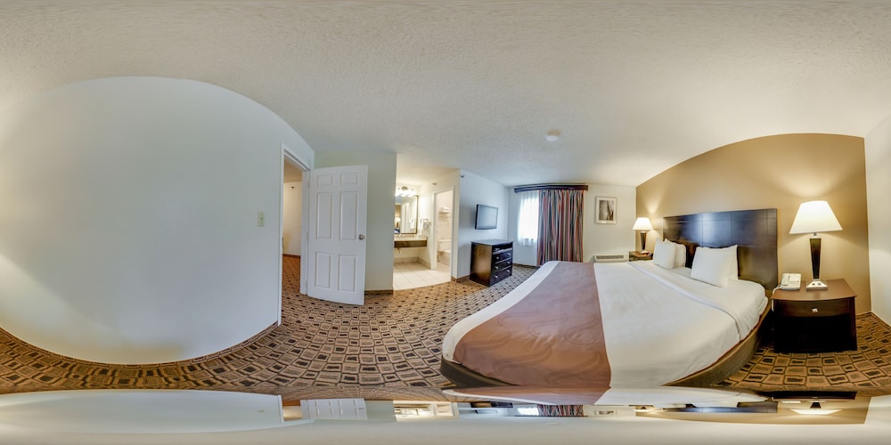 Standard Studio, 1 King Bed, Non Smoking - Photo 4