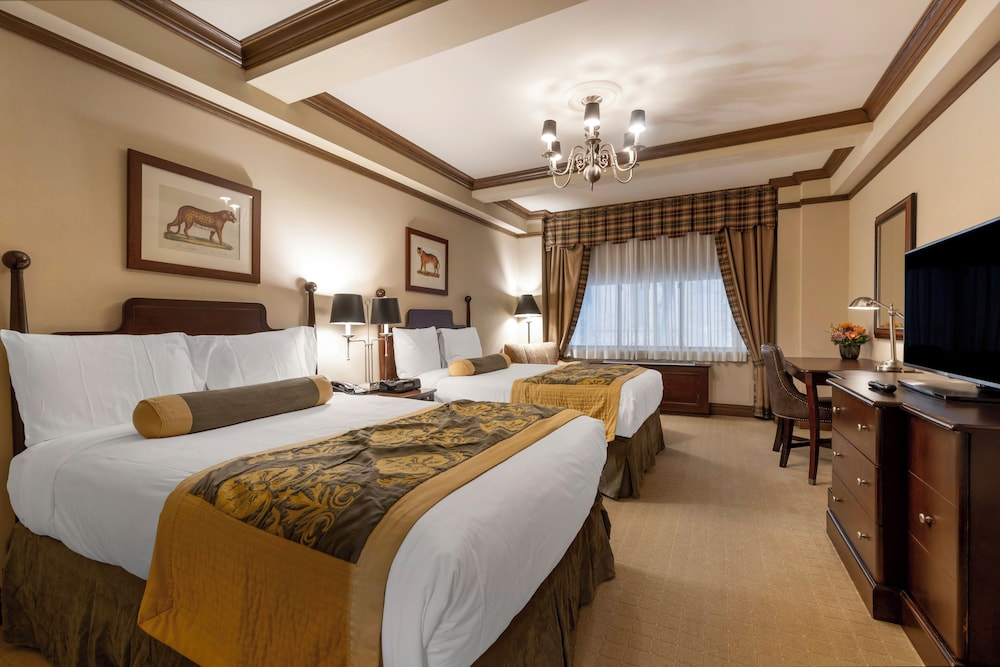 Family Suite photo 1