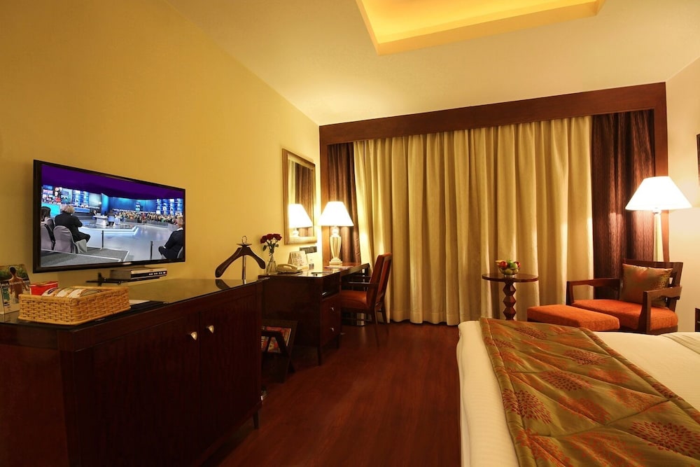 Deluxe Room, 1 Queen Bed (Deluxe Room Double) - Photo 9